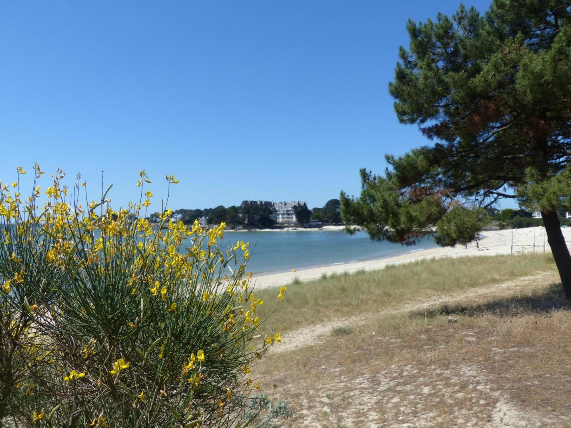 Mouettes 3 - Balcon, Vue Mer, Men Du - T356 Carnac Kültér fotó